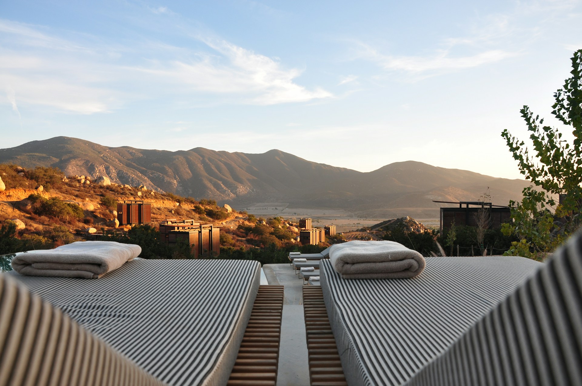 Hotels & Hospitality